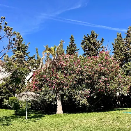 Casa Piscina ماربيا